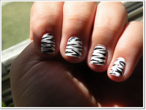 sebra nail 1